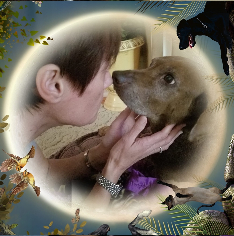 Meet your Posher, Katherine